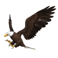 adler fliegendes tier 3d-rendering png