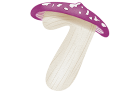 nombre de champignons à l'aquarelle png