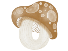 Number Mushroom in watercolor png