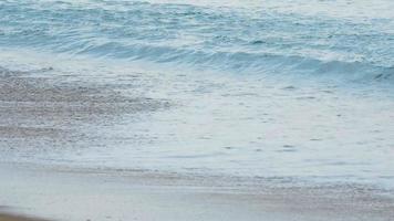 vagues sur une plage de sable. may khao beach au nord de phuket, ralenti video