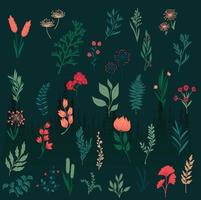 Set of doodles branches, herbs, flowers, plants vector