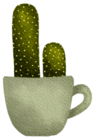 cactus sappig fabriek waterverf png