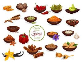Spice poster with set of condiment and seasoning vector