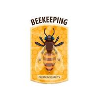 Beekeeping icon with honey bee and honeycomb vector