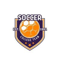 Vector soccer ball icon for college team