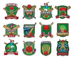 Cricket sport game icons with player, bat and ball vector