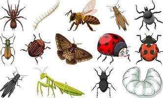 colección de diferentes tipos de insectos vector