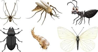 colección de diferentes vectores de insectos