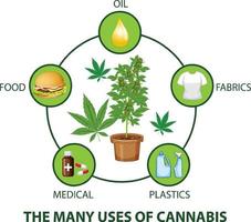 diagrama de los muchos usos del cannabis vector