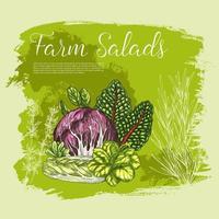 Vector poster sketch fresh farm salad vegetables