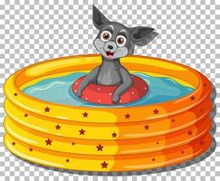 Chihuahua dog in inflatable pool vector