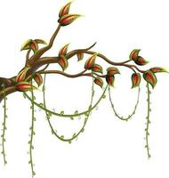 Tree branch with liana isolated vector