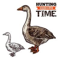 Goose wild bird sketch for hunting sport design vector