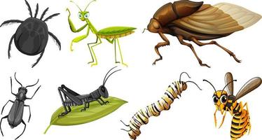 Set of different kinds of insects vector