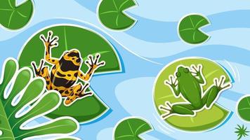 Top view frogs in the pond vector