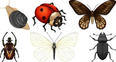 Set of different kinds of insects vector