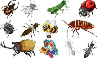 colección de diferentes tipos de insectos vector