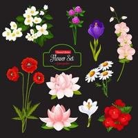 Flower cartoon icon of blooming garden plant vector