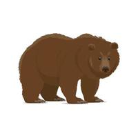 oso pardo o icono animal grizzly de depredador salvaje vector