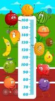 Kids height chart, cartoon fruits on stadium field vector