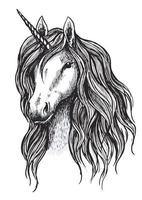 Unicorn horse sketch of magic animal with horn vector