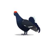 Capercaillie blackcock vector flat wild bird icon