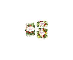 Vector summer tropical exotic flowers icons