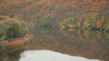 forêt d'automne pousse près de l'eau, temps calme video