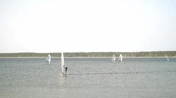 Windsurfen an einem See in Lettland. video