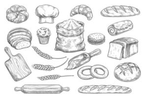 Bread and bun sketch of bakery and pastry food vector