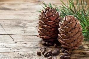 Cedar cones and nuts on wooden background. Selective focus.Copy space photo