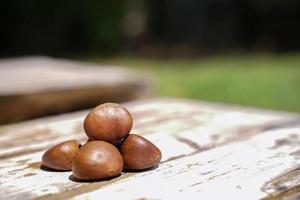 castañas frescas aisladas en un suelo de madera, las castañas tienen un sabor dulce aceitoso. foto