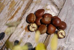 Fresh chestnuts isolated on a wooden floor, chestnuts have an oily sweet taste. photo