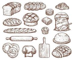 Bakery set with a lot of types fresh bread. vector