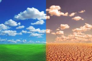 Comparative picture between drought, global warming effect and refreshing area. The concept of changing brushes. Love the world. Save the environment. photo