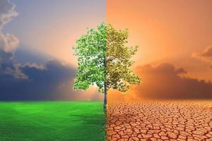 Comparative picture between drought, global warming effect and refreshing area. The concept of changing brushes. Love the world. Save the environment. photo