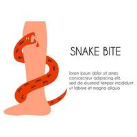 The snake bites the leg. Medical template with text about poisonous scaly reptiles. Vector hand drawn illustration