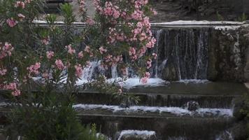 artificial waterfall in the middle of a park of trees and shrubs video
