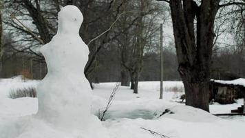 muñeco de nieve con brazos de rama y nariz de zanahoria video