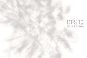Transparent natural plant shadow. Light effect overlay. Mesh grid. Shadows from branches, plant, foliage and leaves on ground. Presentation your design card, poster Photo realistic vector