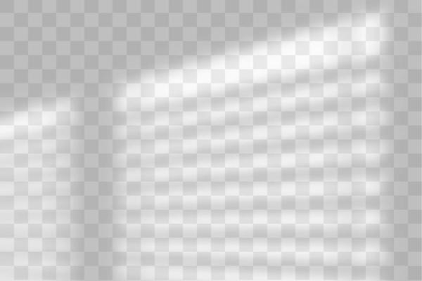 Vector transparent window shadow. Light effect overlay. Mesh grid. Presentation your design card, poster, stories Photo realistic illustration