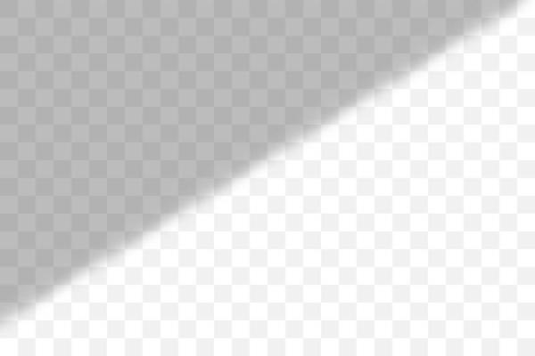 Vector transparent window shadow. Light effect overlay. Mesh grid. Presentation your design card, poster, stories Photo realistic illustration