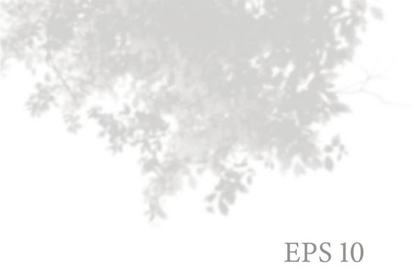Transparent natural tree branches shadow. Light effect overlay. Mesh grid. Presentation your design card, poster, stories Photo realistic illustration