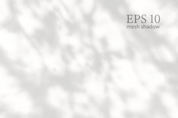 Transparent natural plant shadow. Light effect overlay. Mesh grid. Shadows from branches, plant, foliage and leaves on ground. Presentation your design card, poster Photo realistic vector