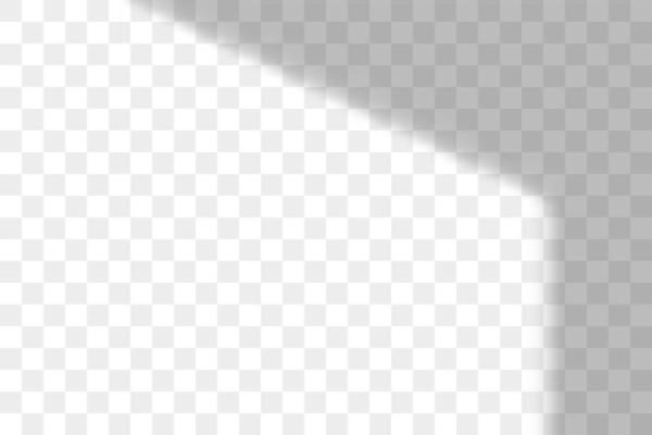 Vector transparent window shadow. Light effect overlay. Mesh grid. Presentation your design card, poster, stories Photo realistic illustration