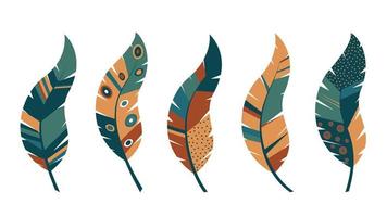 ornate feathers set vector