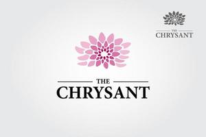 la plantilla del logotipo del vector chrysant. diseño de ilustración de elegancia natural de flor rosa con símbolo de crisantemo floreciente. este logotipo es un concepto limpio y único para una clase de yoga, belleza, mujer, moda, etc.