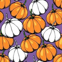 White and orange pumpkins on a  violet background. Hand-drawn vector seamless pattern. For fabric prints, kitchen textiles, tablecloths, seasonal vegetables harvest. Festive autumn decor.