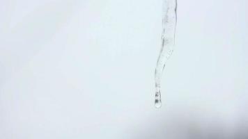 Ice drips melting video