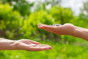 hand in hand gives coins on green background, Finance concept and loans. photo